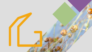 BuildinG, Thuis in de toekomst